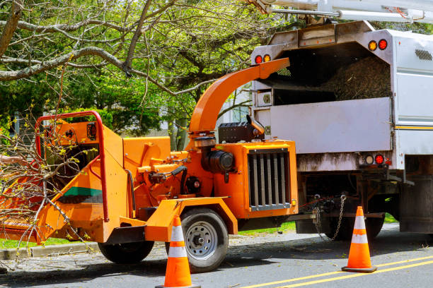 How Our Tree Care Process Works  in  Gambier, OH